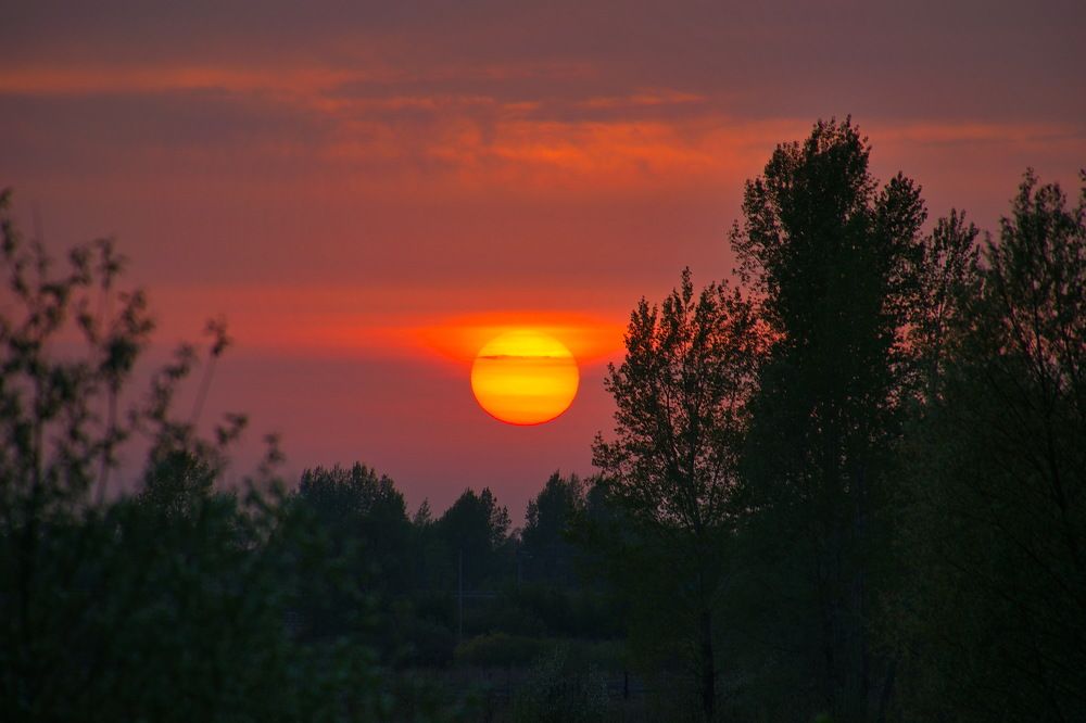 Photograph by Василий Быстрицкий