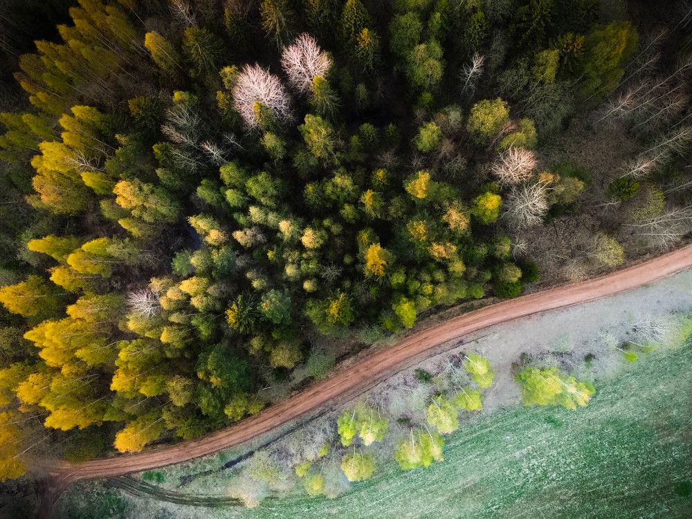 Photograph by Руднев Юрий