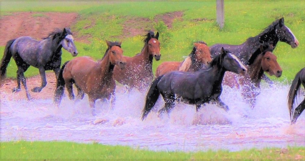 Из древности в современность.