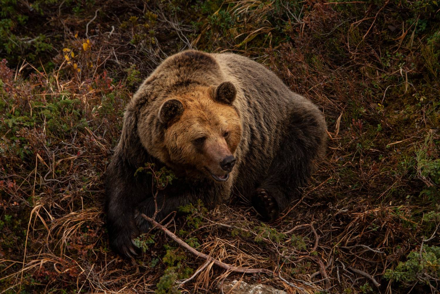 Photo #9104056