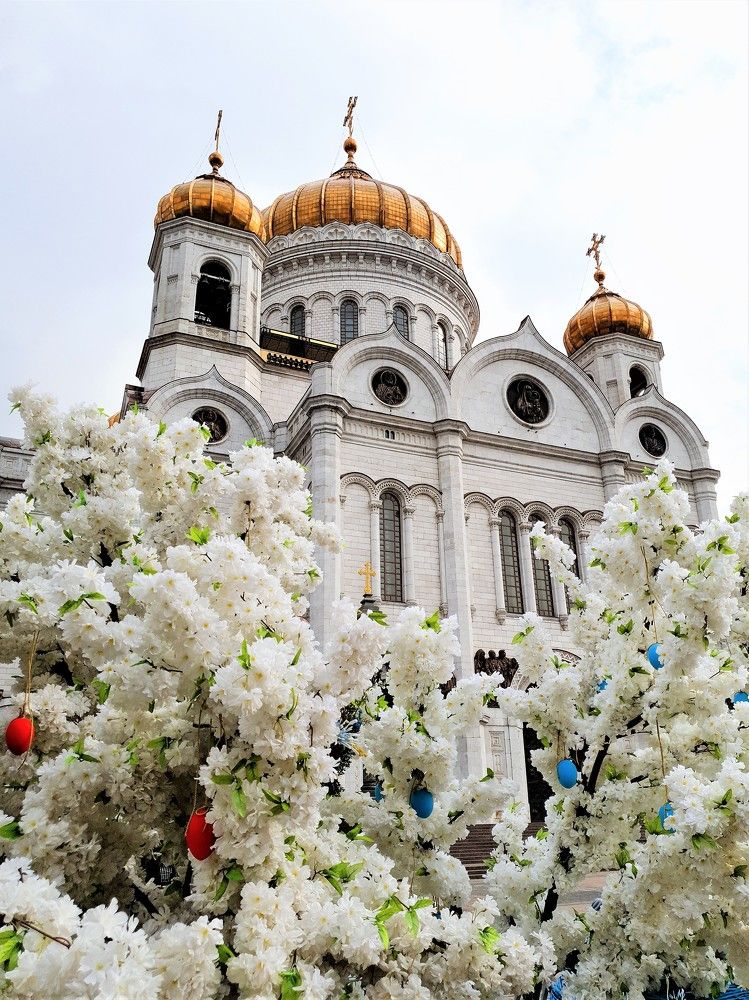 Photograph by Яна Галимуллина