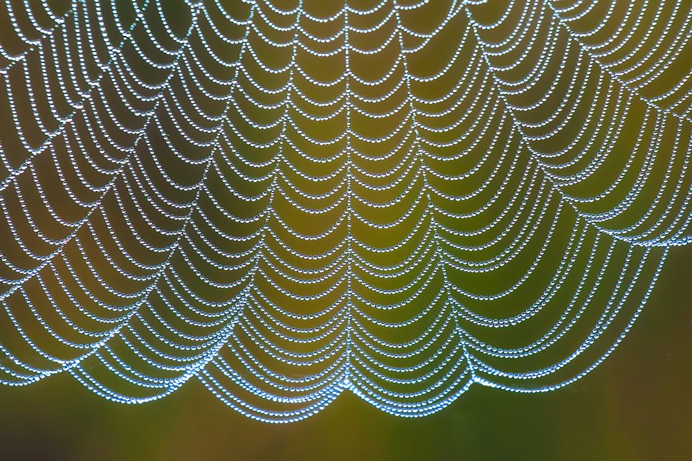 Photograph by Юрий Спасенников