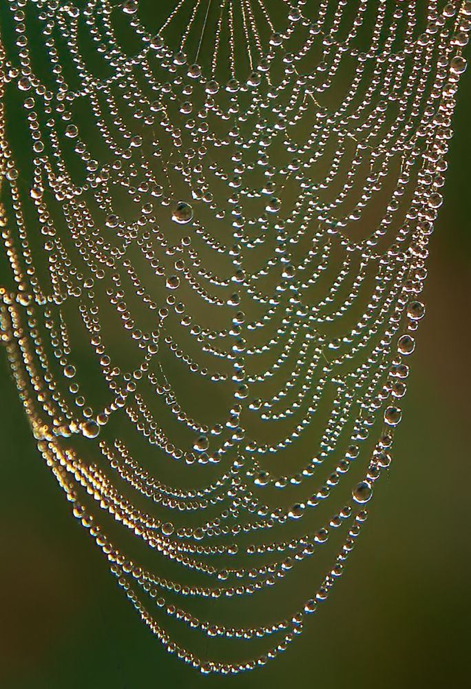 Photograph by Юрий Спасенников