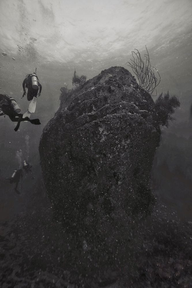 Фотография автора  Stelio