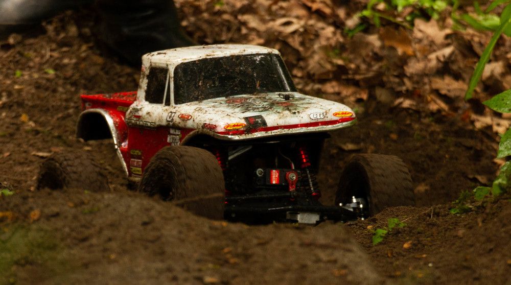 Фотография автора Алексей Тимофеев