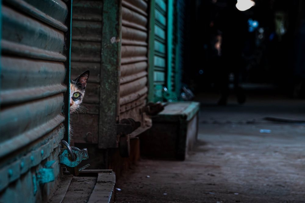 Photograph by ratan dixit