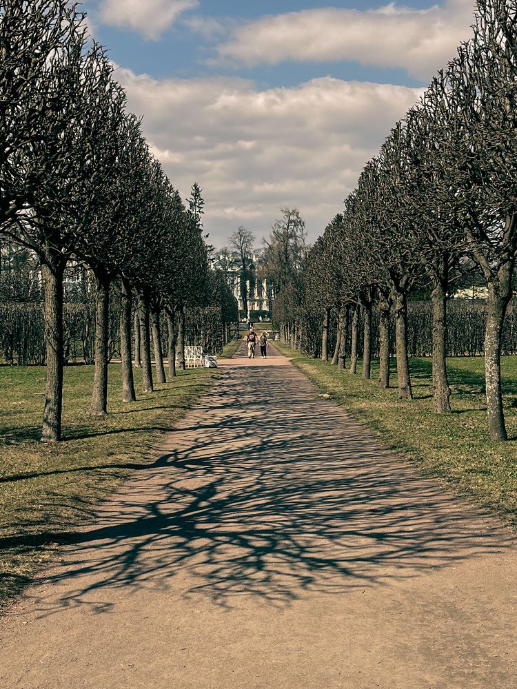 Photograph by Алексей Васильев