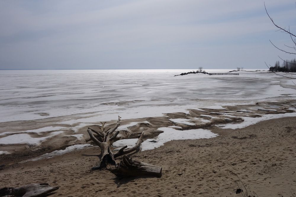 Photograph by Сергей