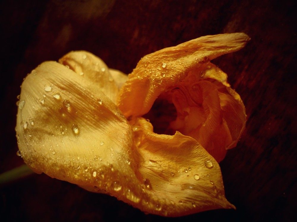 Photograph by Дмитрий Соколов