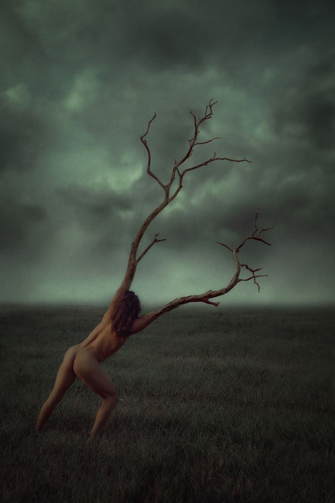 Фотография автора hector fernandez