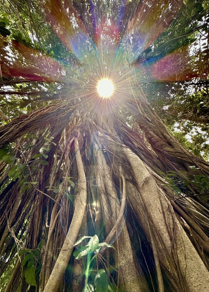 Photograph by Максим Григорьев