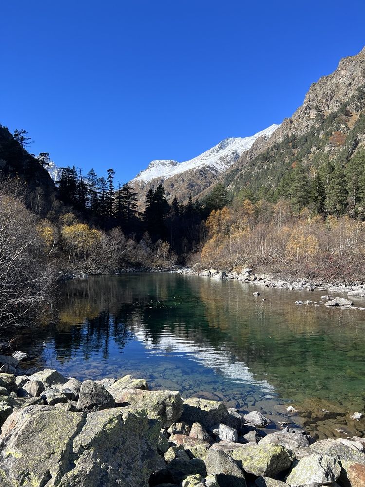 Photograph by Лариса