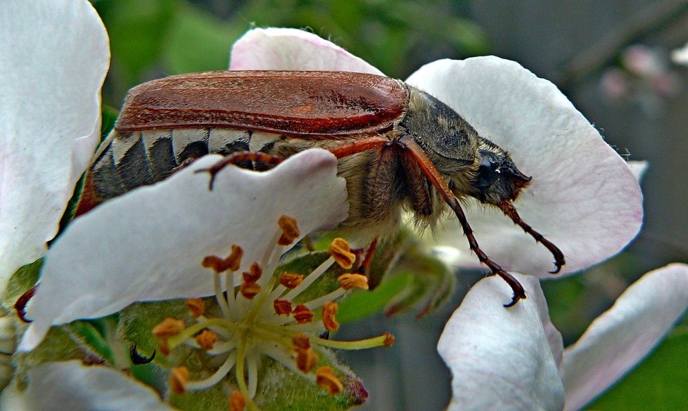 Photograph by натапов леонид