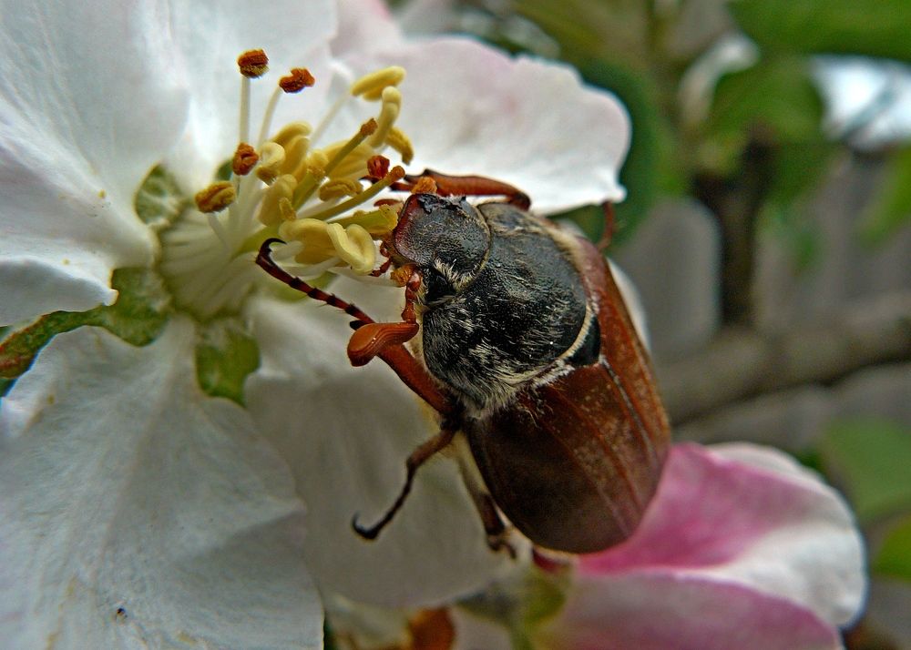 Photograph by натапов леонид