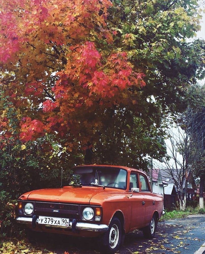 Photograph by Анастасия