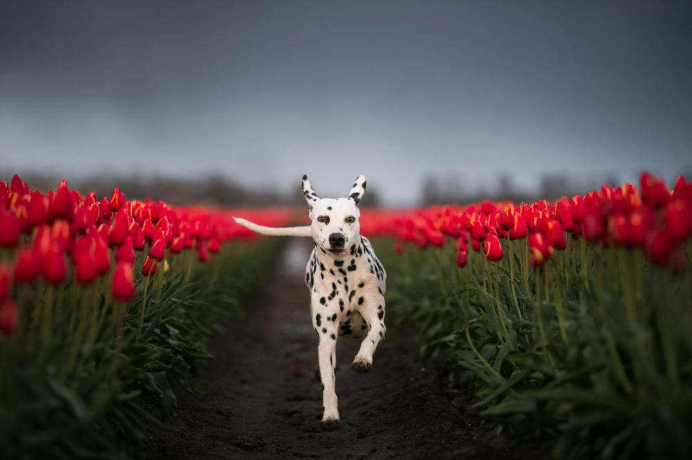 Photograph by Annette Hagemeijer