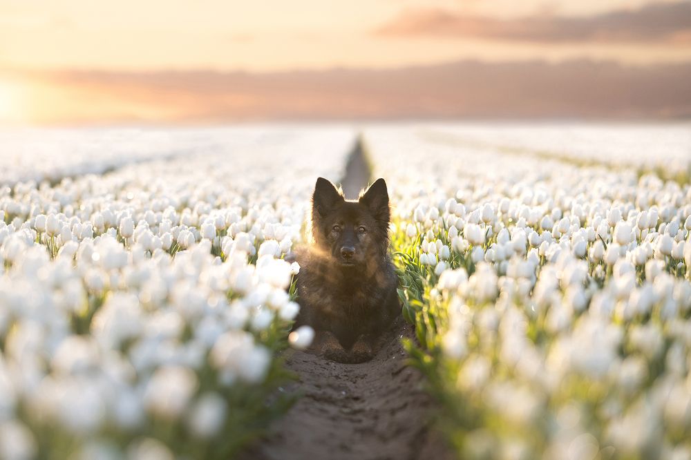 Photograph by Annette Hagemeijer