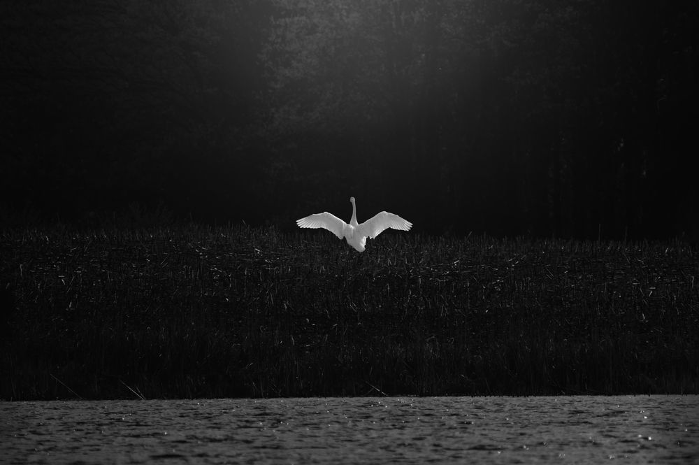 Photograph by Raghuvamsh Chavali