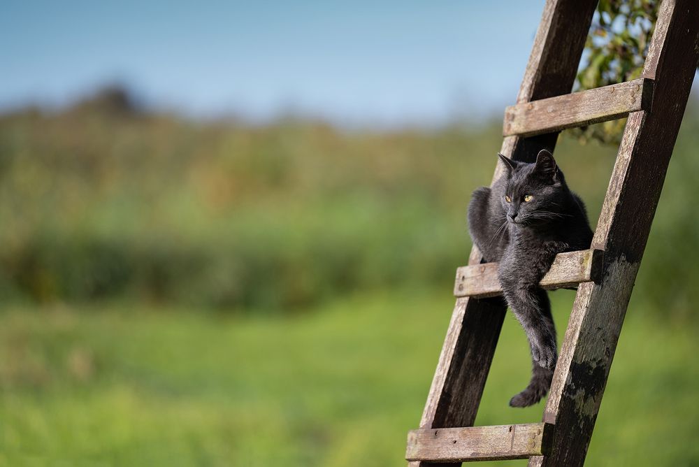 Photograph by Annette Hagemeijer