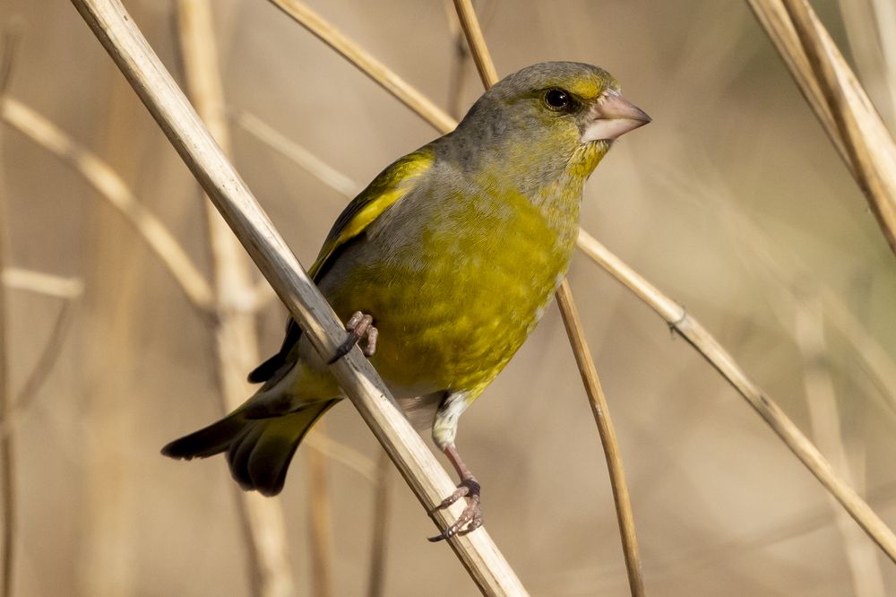 Photograph by Щепанов Дмитрий