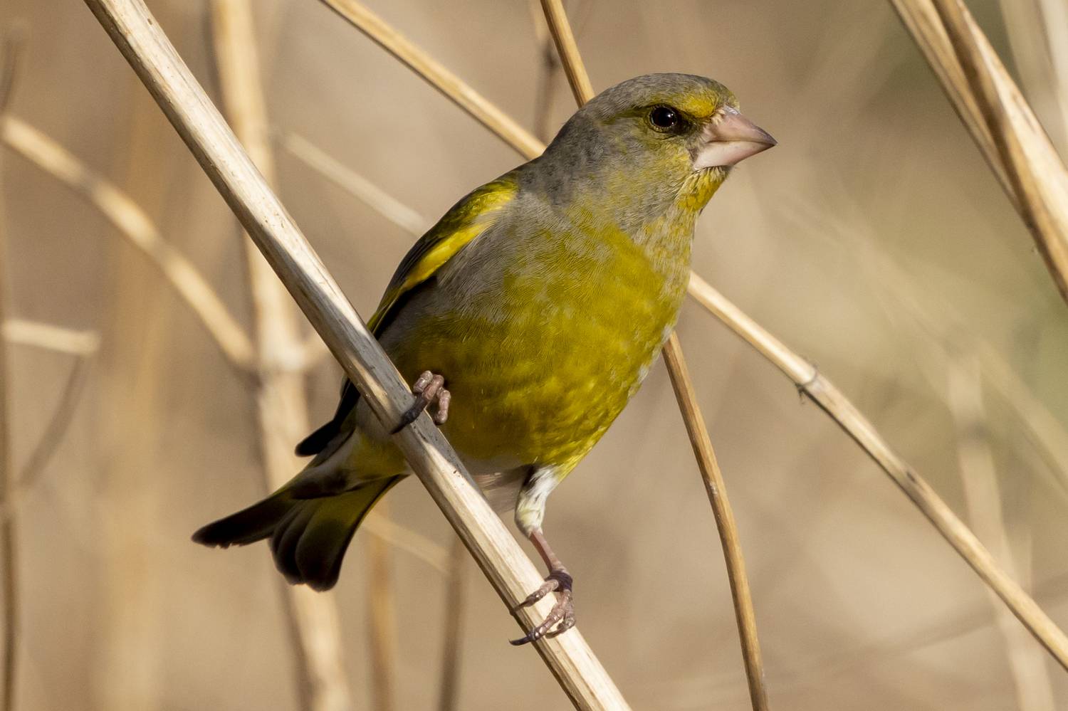 Фотография #9105179