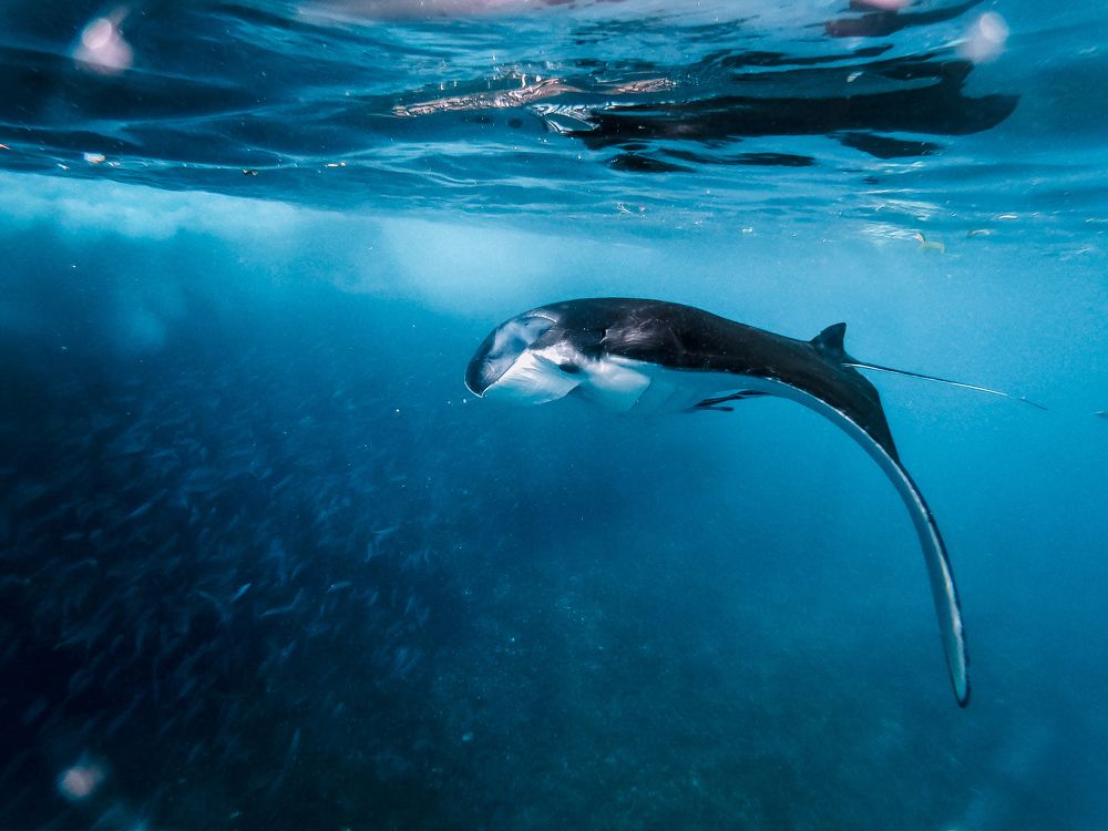 Photograph by Сауль Анастасия