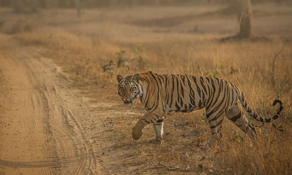 Photograph by Samarth Shrivastava