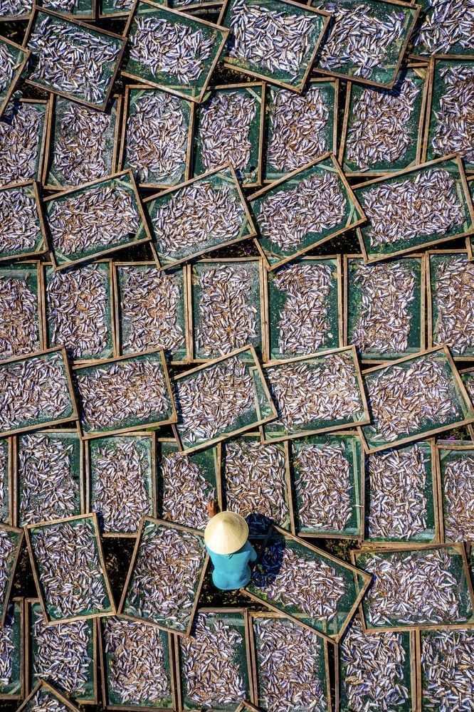 Photograph by Minh Tú Nguyễn