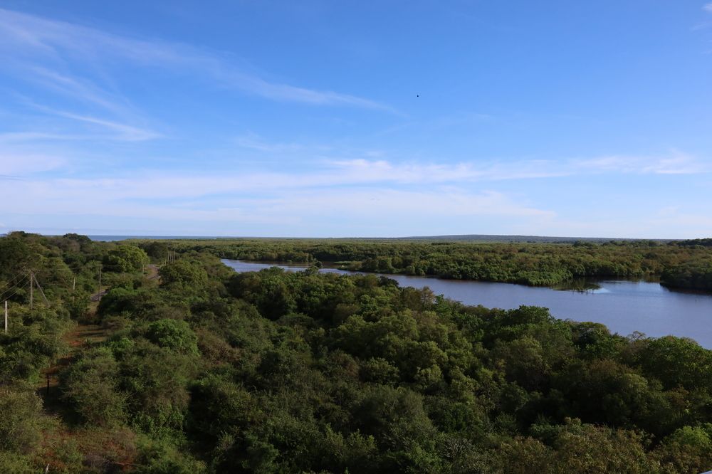 Photograph by Linara De Silva