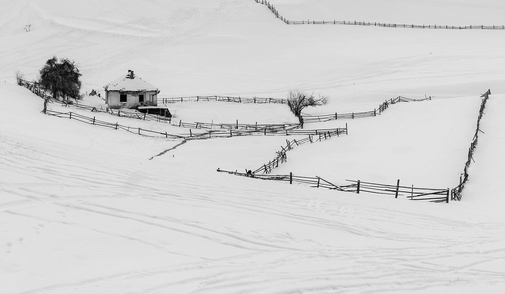 Photograph by Petya Lazarova