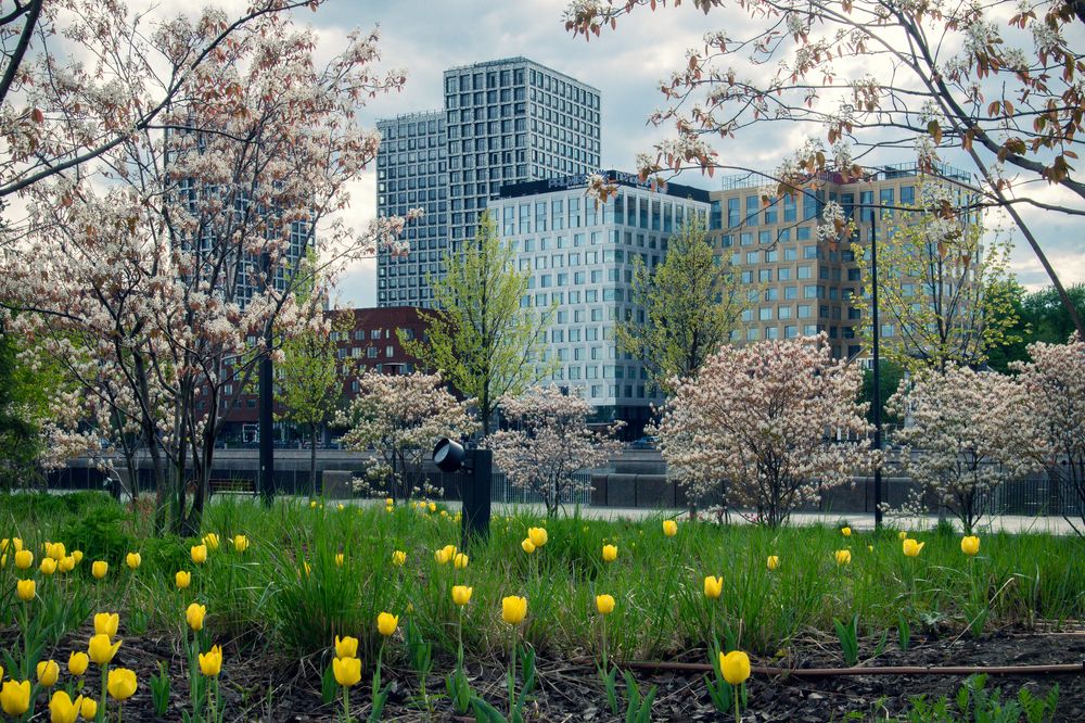 Фотография автора Konstantin