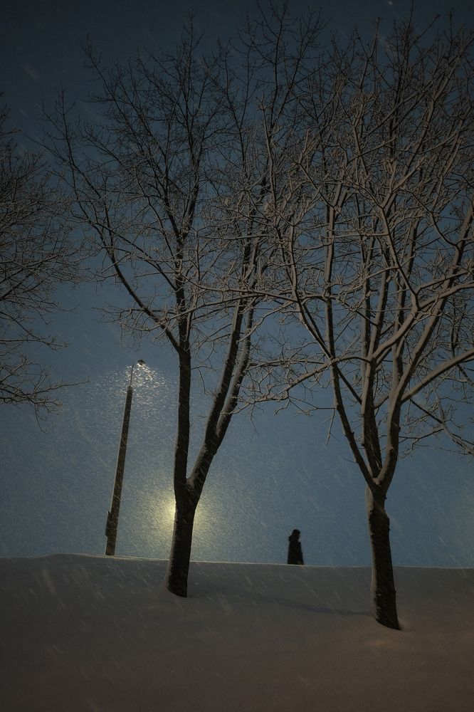 Photograph by Алексей Колбун