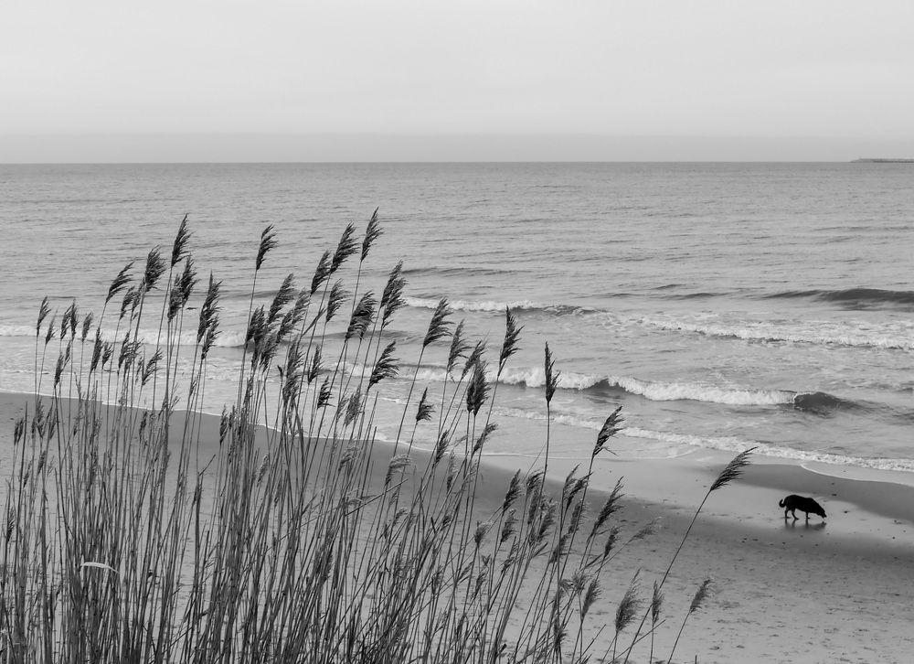 Photograph by Андрюс Суримурис