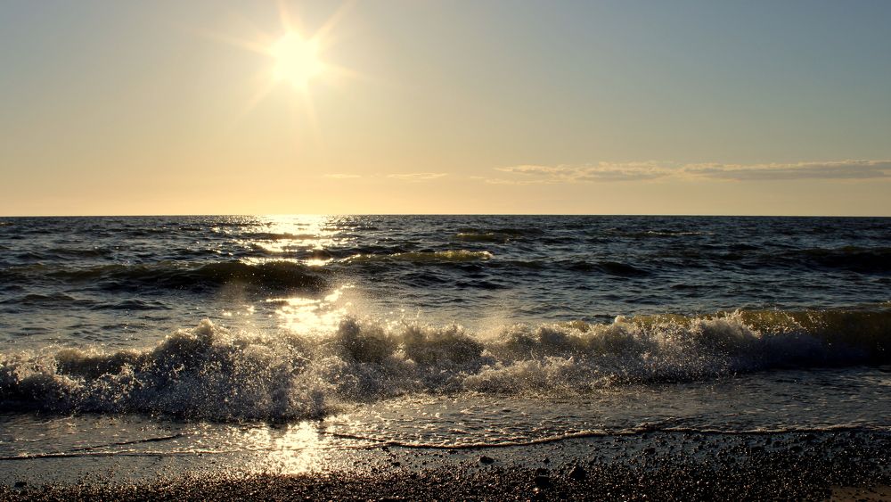 Photograph by 