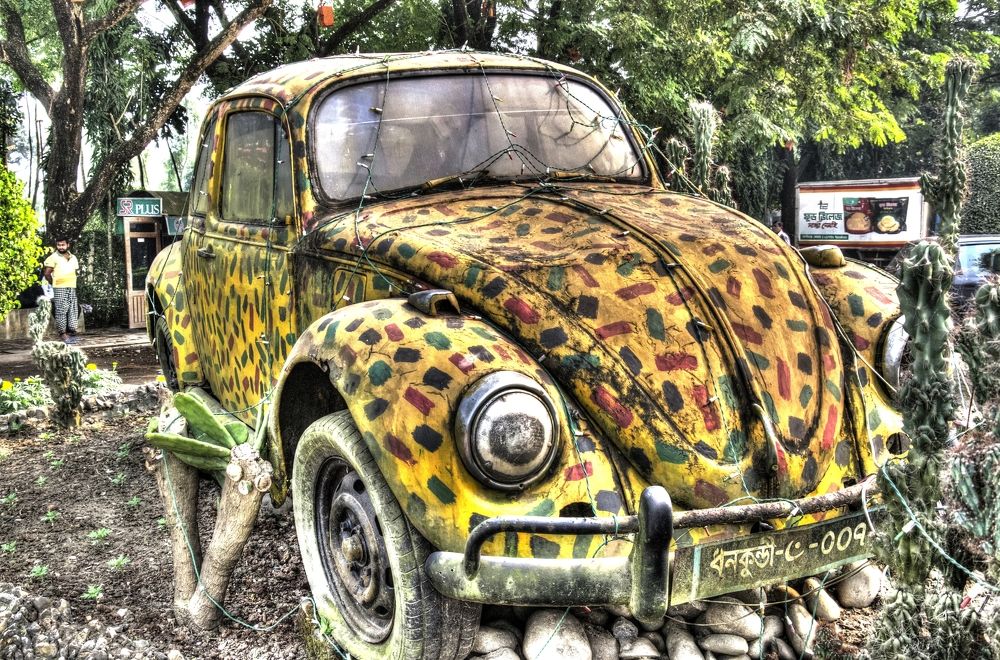 Photograph by A. M. Shafiqul Islam