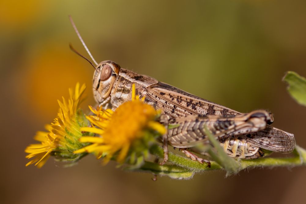 Photograph by Светлана Тараканова