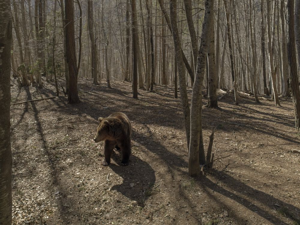 Photograph by Taтьяна Войлокова