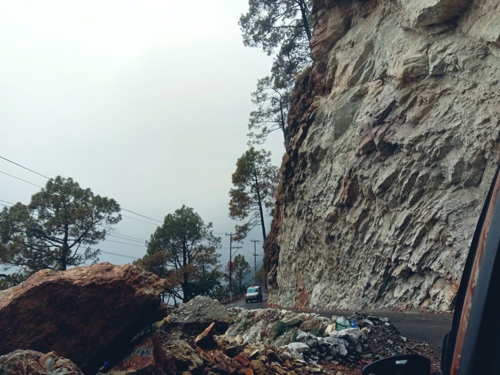 Photo #9105953