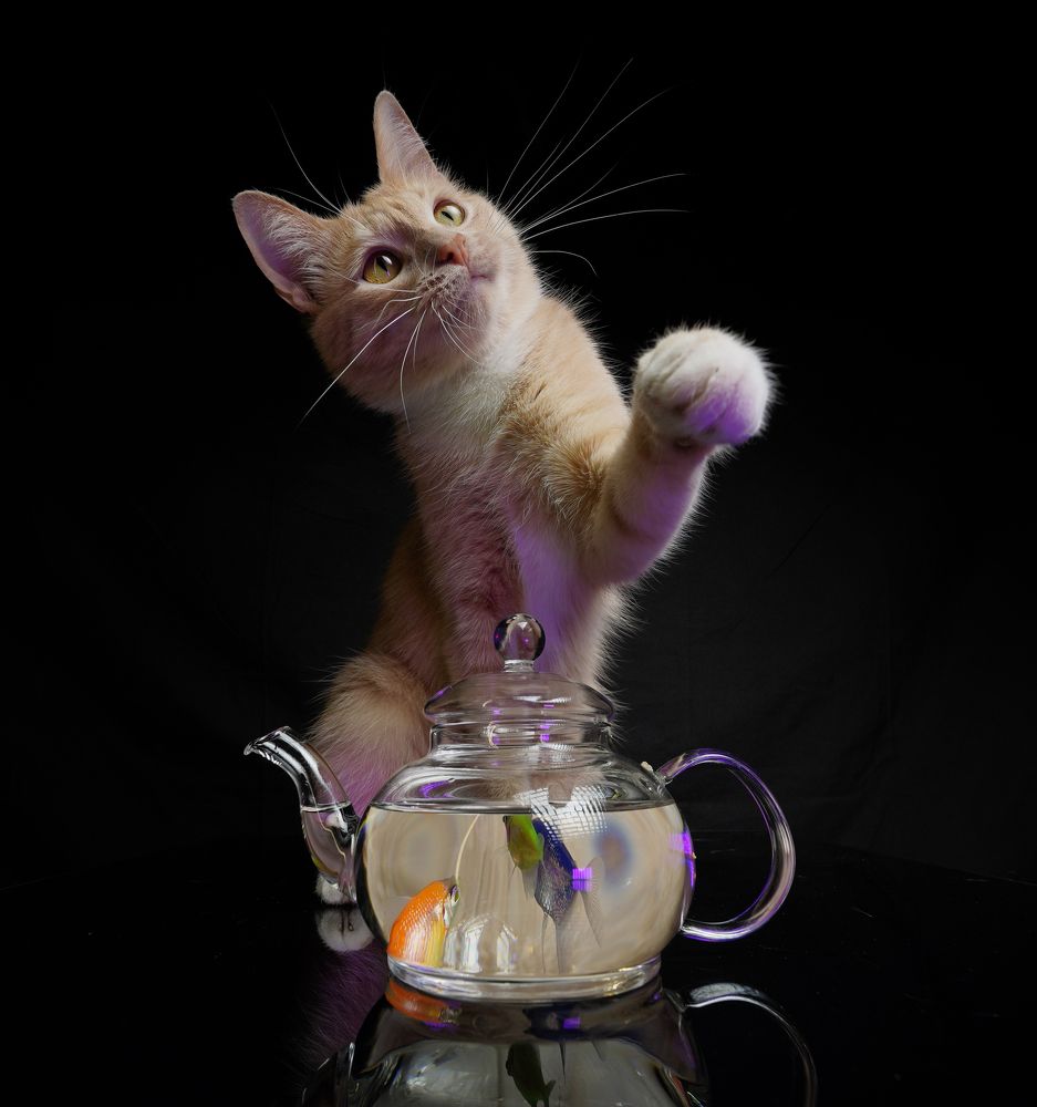 Photograph by Николай Николаев