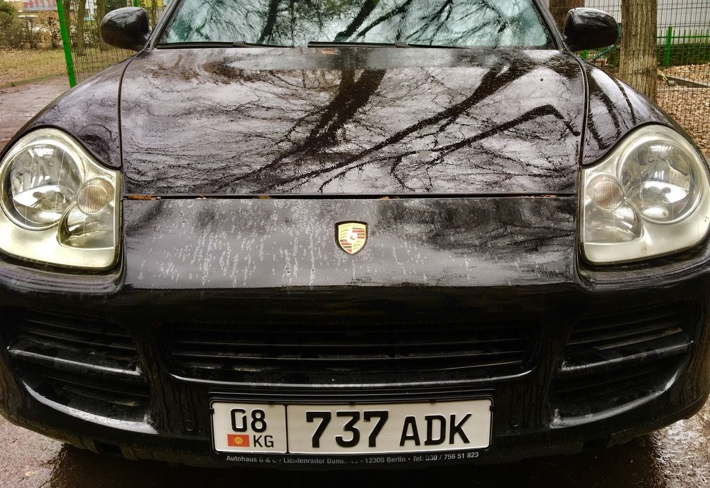 Photograph by Елена Ким