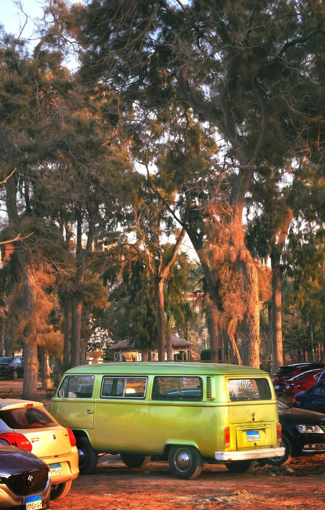 Photograph by Ahmed zaki