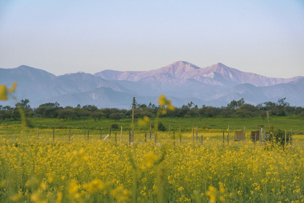 Photograph by Martín Alejandro Canessa Palacios