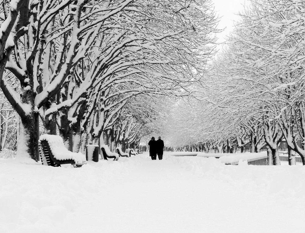 Photograph by Андрюс Рачис