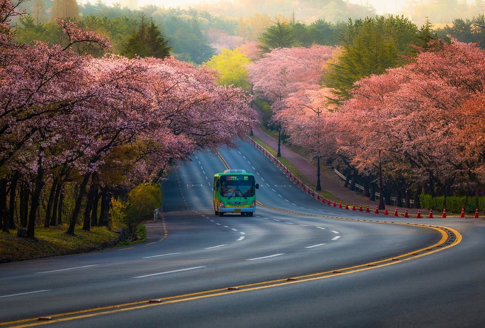 Photograph by Vu Van Minh