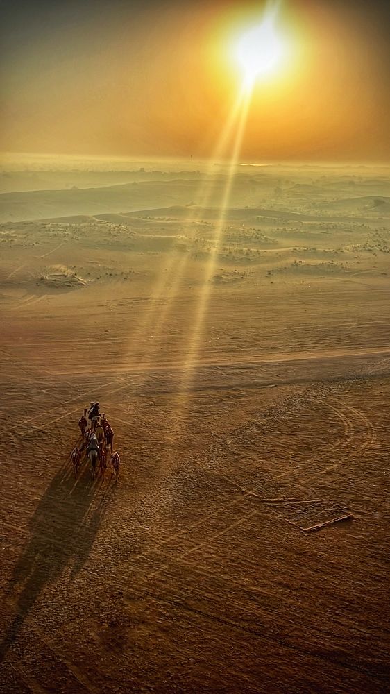 Photograph by Екатерина Зуева