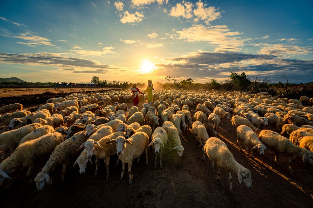 Photograph by Minh Tú Nguyễn
