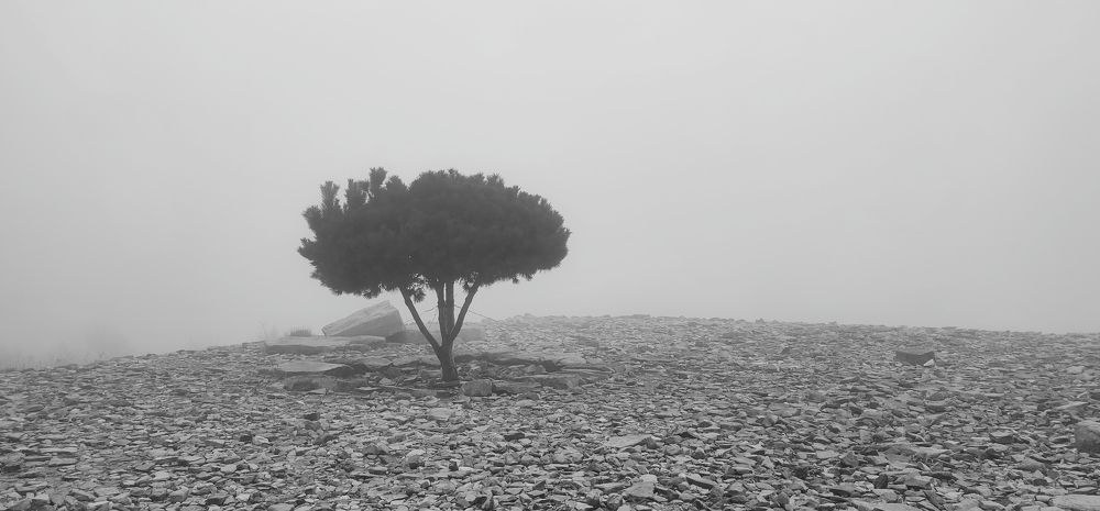 Photograph by Александр Жигульский