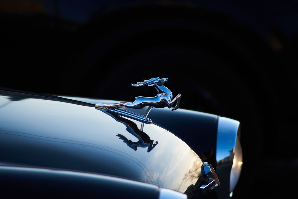 Photograph by Alexey Zakusov