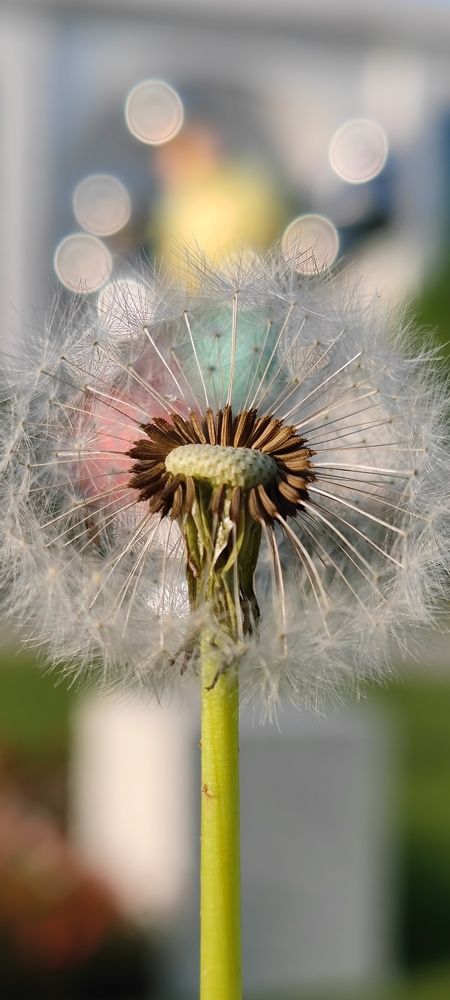 Photograph by Юрий Корсунцев