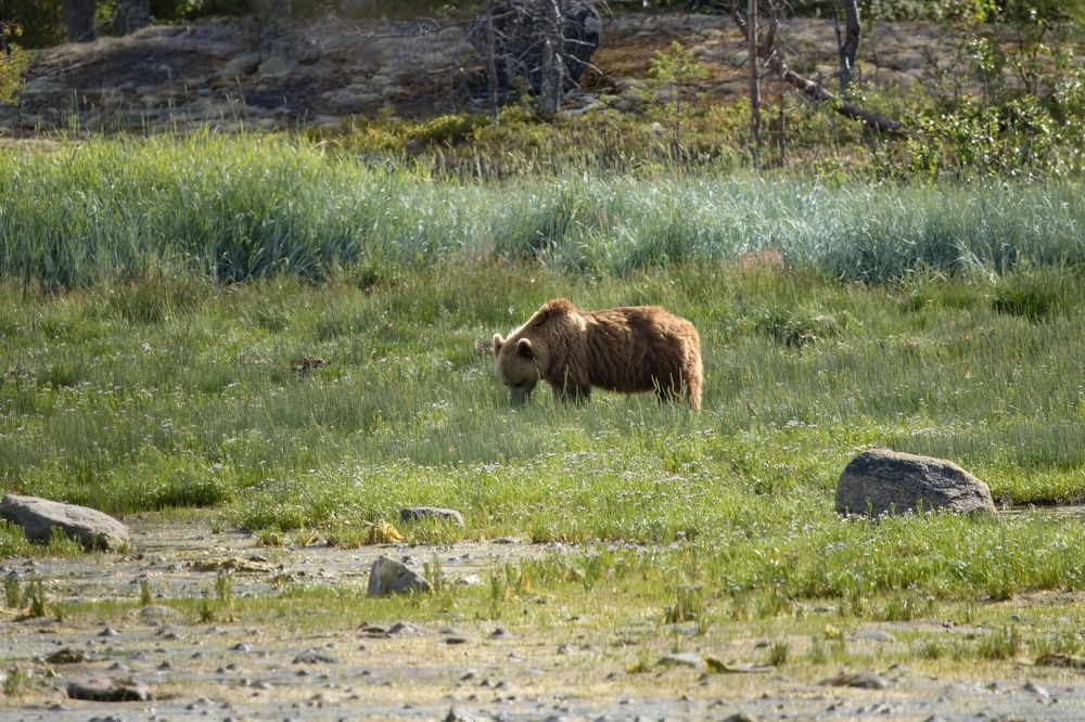 Photograph by Valentin Kolinko